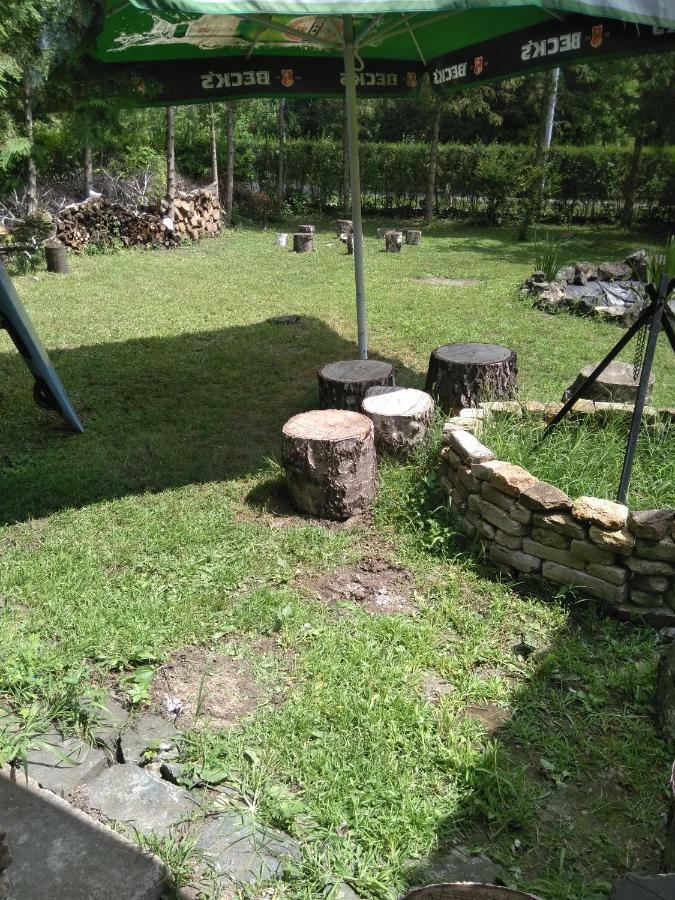 Nemeth Apartman Palić Exterior foto